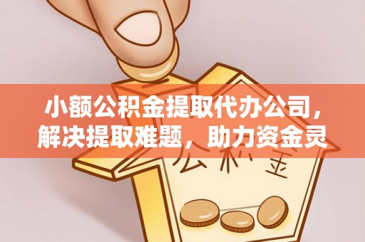 海口小额公积金提取代办公司，解决提取难题，助力资金灵活使用