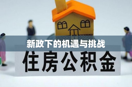 海口新政下的机遇与挑战
