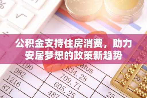 海口公积金支持住房消费，助力安居梦想的政策新趋势