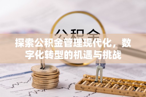 海口探索公积金管理现代化，数字化转型的机遇与挑战