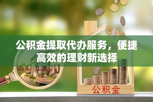 海口公积金提取代办服务，便捷高效的理财新选择