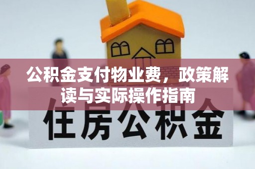 海口公积金支付物业费，政策解读与实际操作指南
