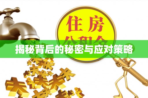海口揭秘背后的秘密与应对策略
