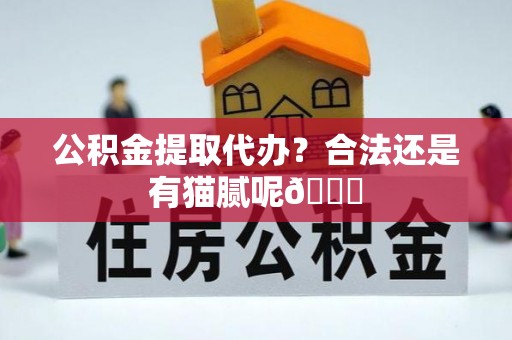海口公积金提取代办？合法还是有猫腻呢😏