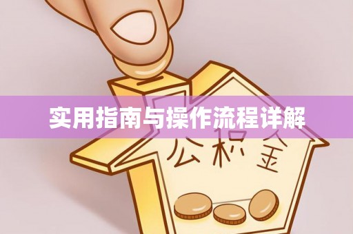 海口实用指南与操作流程详解