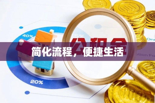 海口简化流程，便捷生活