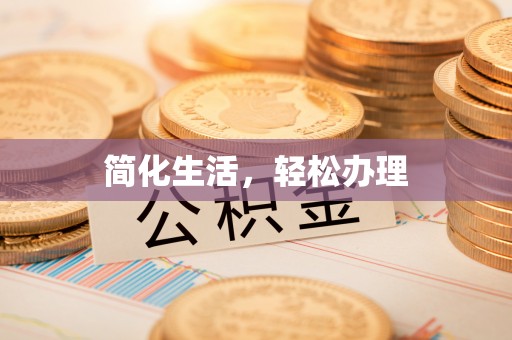 海口简化生活，轻松办理